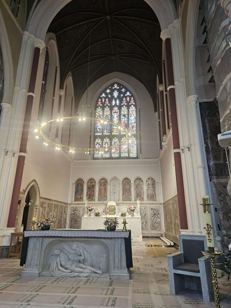 1ff56133 5fe2 4282 9e72 d55f77f46f80